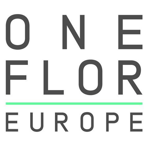 Oneflor Europe (Бельгия)