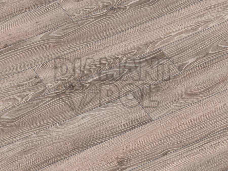 Ламінат Classen The Brush WR Дуб сірий 54941 54941 фото, характеристики, купити