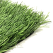 Штучна трава CCGrass Ultrasport 50 (FIFA certificate)