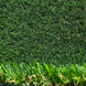 Штучна трава Prettie Grass GALICIA 20