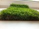 Искусственная трава Turfgrass Yacina