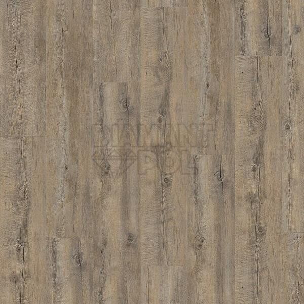 Вінілова плитка Wineo DB 400 wood (клеєва), дерево