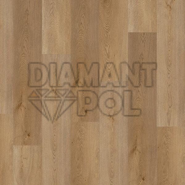 Виниловая плитка Wineo DB 400 wood (клеевая) 3935 фото, характеристики, купить