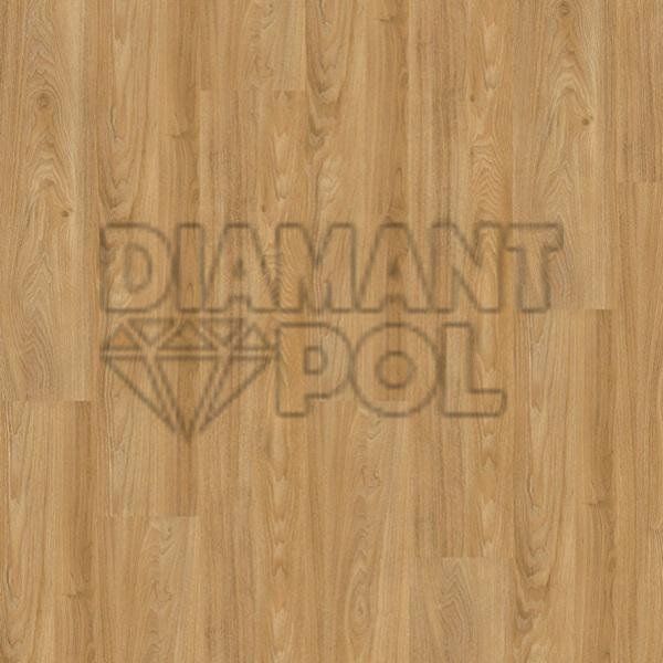 Виниловая плитка Wineo DB 400 wood (клеевая) 3935 фото, характеристики, купить