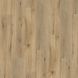 Виниловая плитка Wineo DB 400 wood (клеевая), дерево