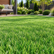 Штучна трава Bellinturf Bluebell 204