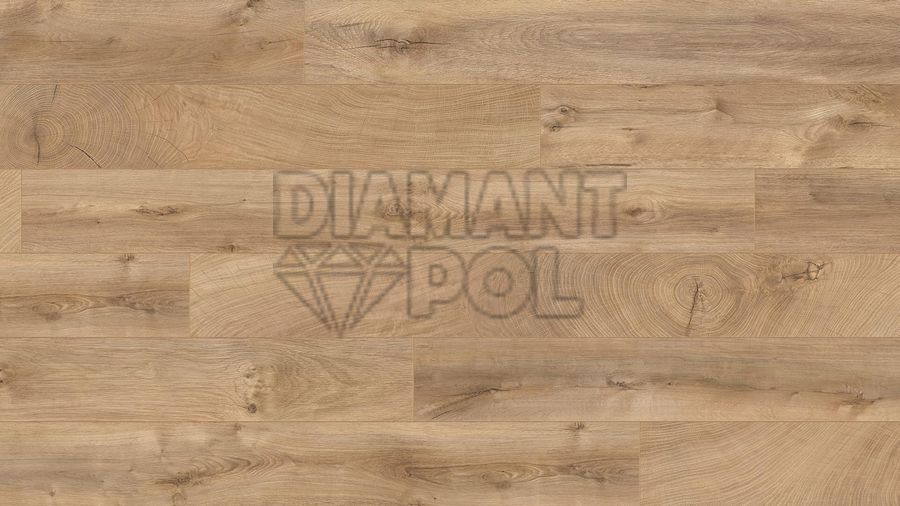 Ламінат Kaindl Natural Touch Premium Plank 10 Oak Fresco Lodge 4381 4381 фото, характеристики, купити