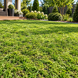 Штучна трава Bellinturf Rainbow 40