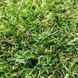 Штучна трава Bellinturf Bluebell 504 50 мм