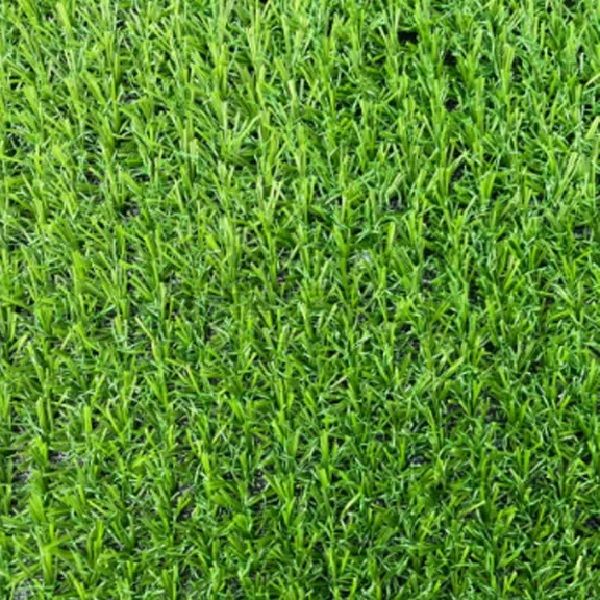Искусственная трава Congrass Tropicana 15