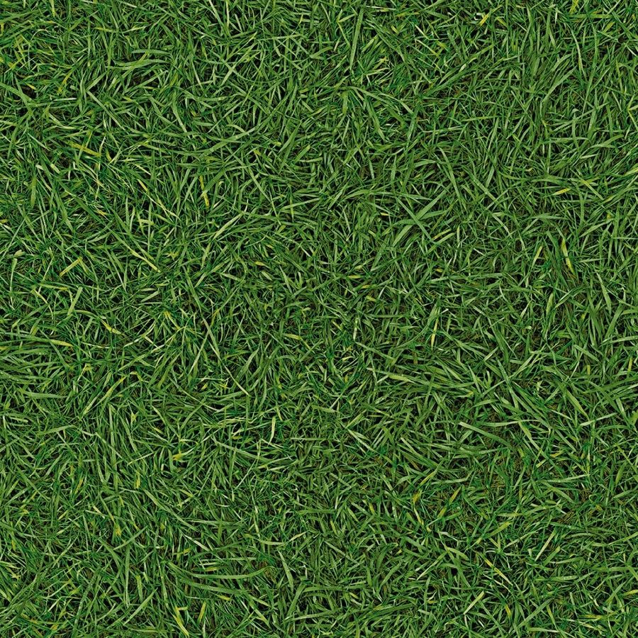 Лінолеум IVC Bubblegum Grass 25