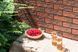 Плитка фасадная Rot Rustiko Shaded Сerrad 245 x 65 x 6,5