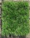 Штучна трава Landgrass 35