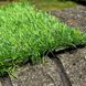 Штучна трава Landgrass 30
