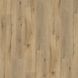 Виниловая плитка Wineo DLC 400 wood (замковая), дерево
